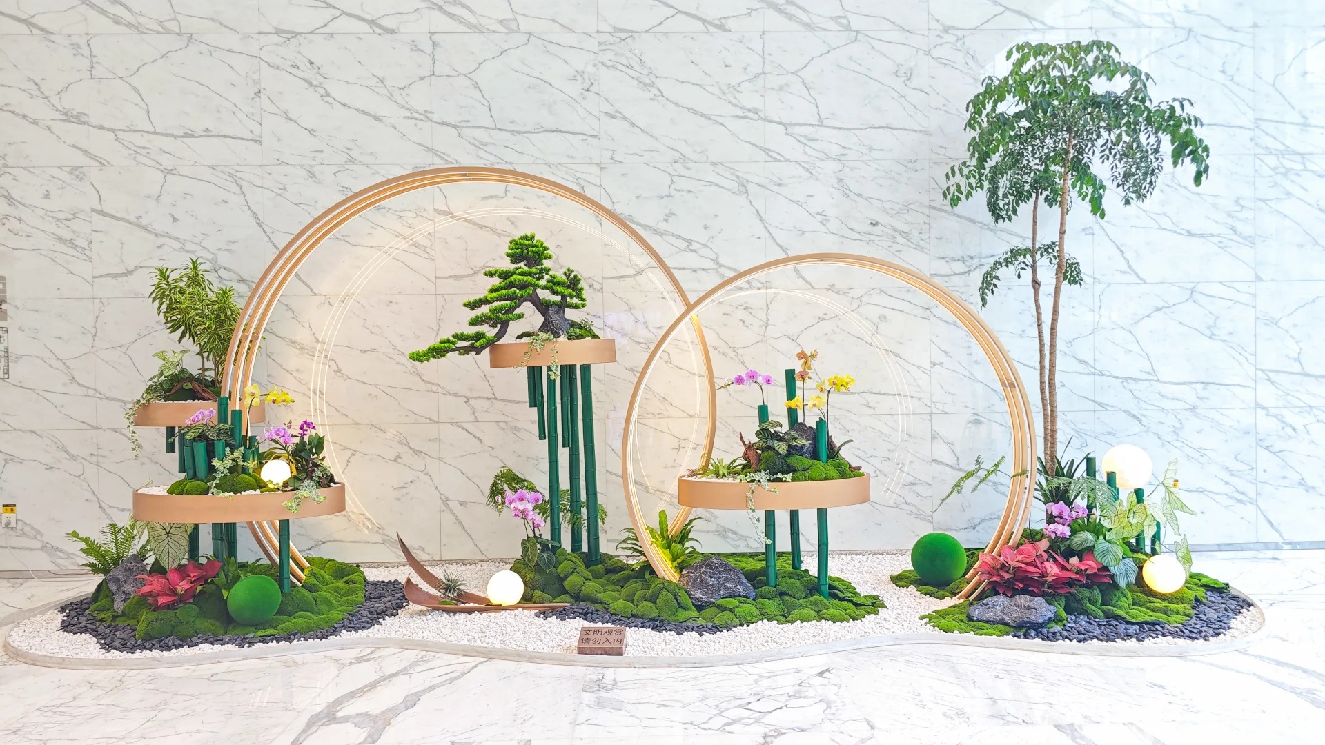 了解余姚盆景租摆方案,开启空间美化新篇章!